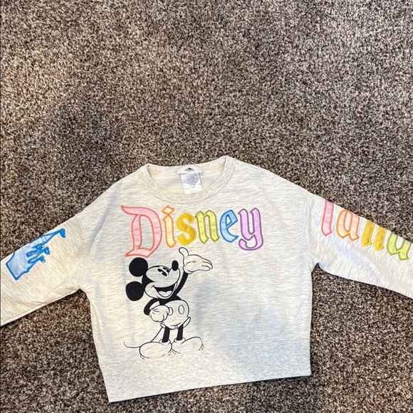 Disney Other - Kid’s Disneyland Gray Mickey Mouse Sweatshirt with Colorful Accents